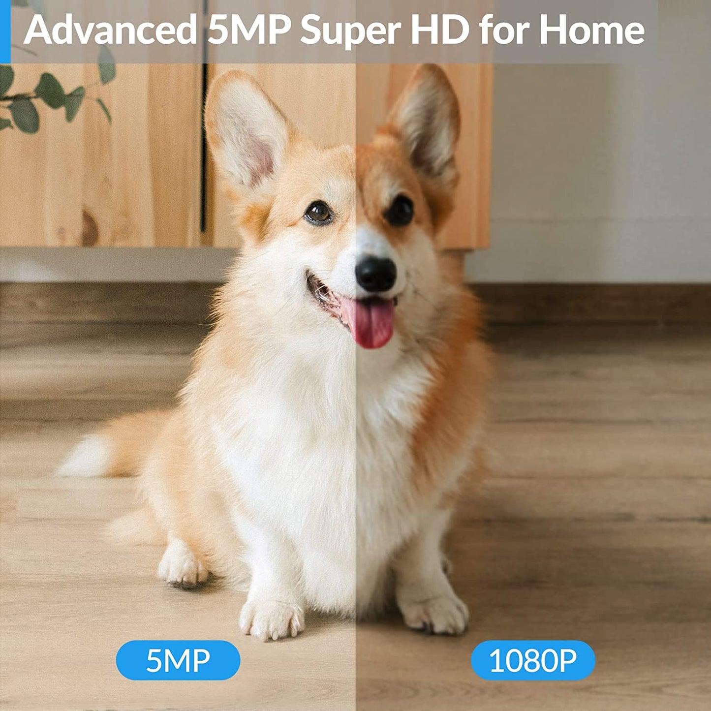 🔥BOGO🔥 Acculenz 5MP HD Pet Camera Indoor